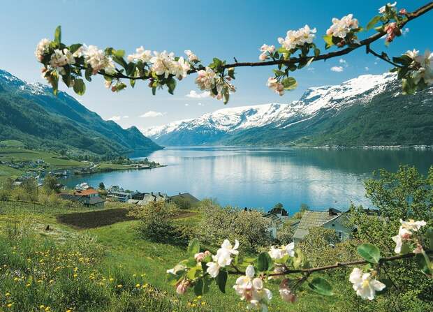 fjords18 fjords18 Самые красивые фьорды Норвегии