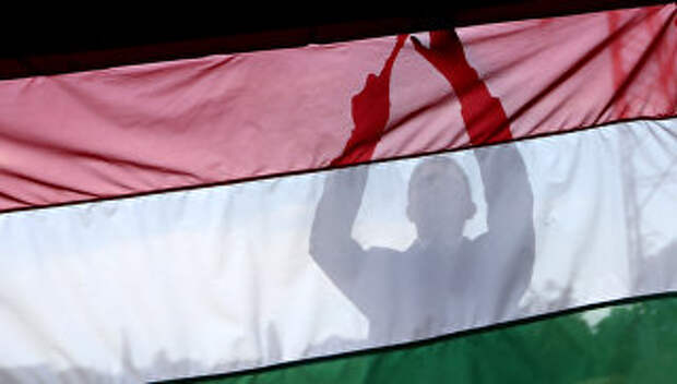 Мужчина на фоне флага Венгрии. Архивное фото