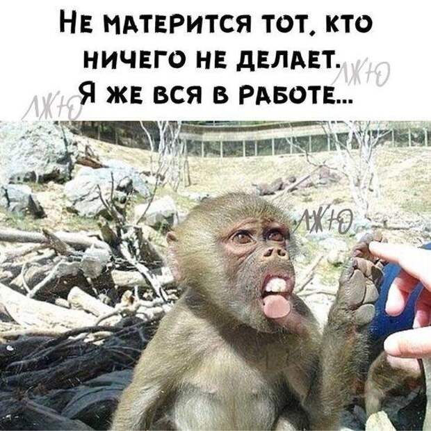 Подборка свежих мемов на понедельник