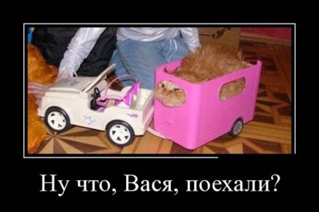 Демотиваторы (30 фото)