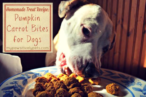 pumpkin-carrot-bites