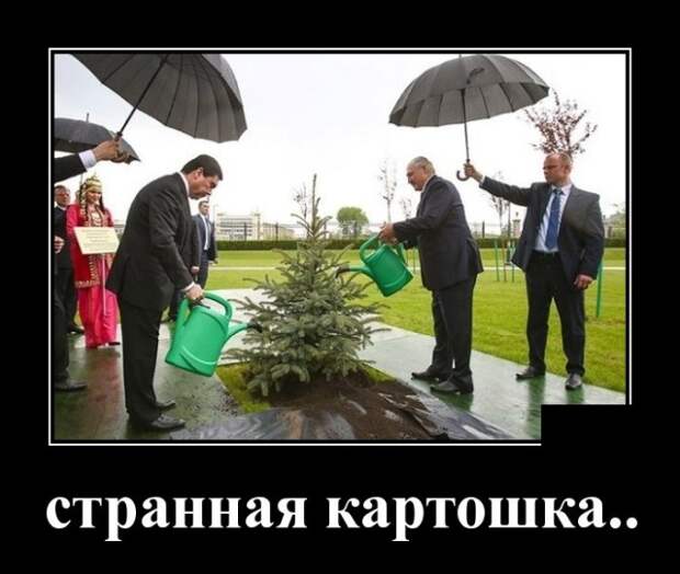 Демотиваторы (30 фото)