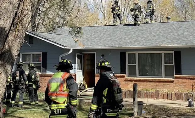 Всю зиму женщине мерещился храп из подвала, а весной оказалось, что внизу устроили берлогу 5 медведей
