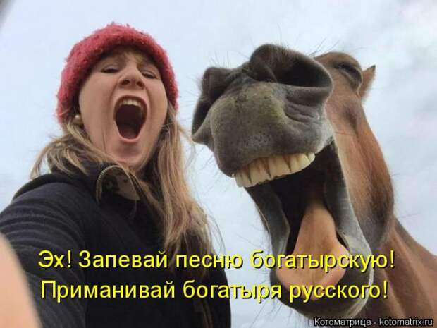 Лучшие котоматрицы недели (50 фото)