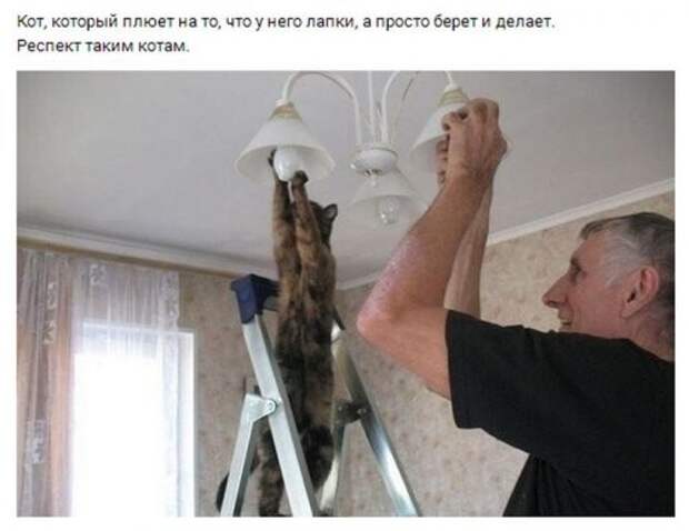 Настроения пост картинки, настроение, подборка