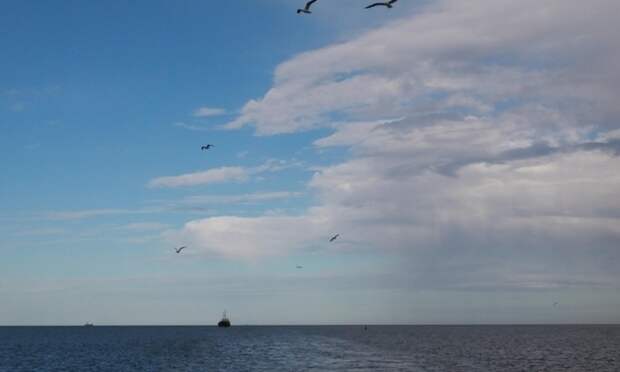 Со стороны военного порта Северодвинска будут выполняться практические стрельбы