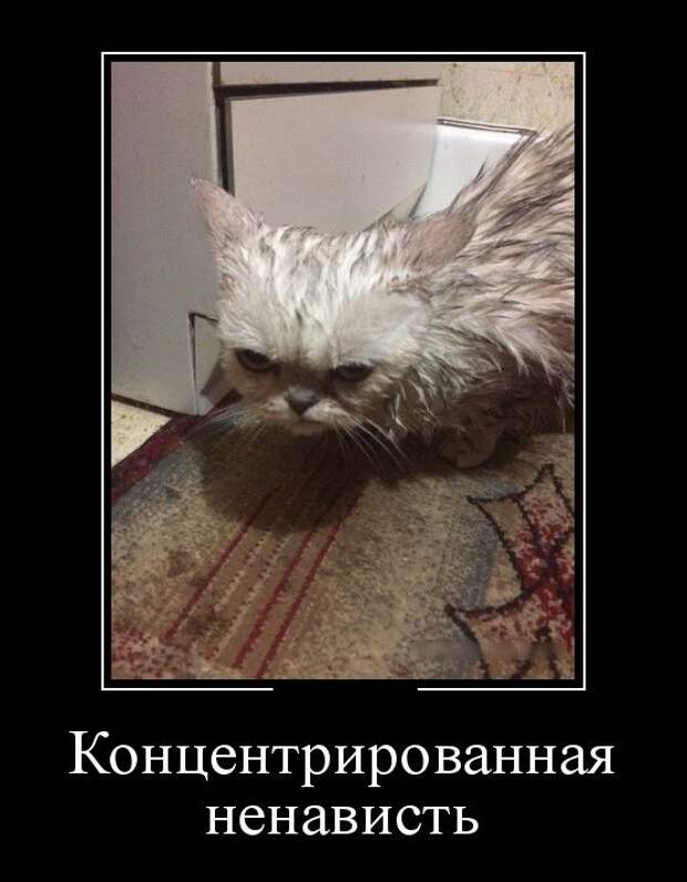 Демотиваторы (30 фото)