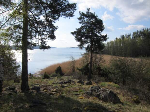 image sweden-fishing-0016-jpg