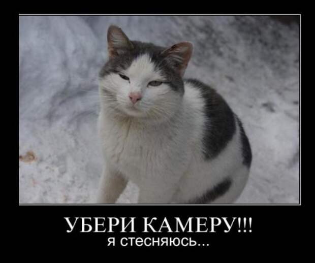 Прикольные демотиваторы (25 шт)