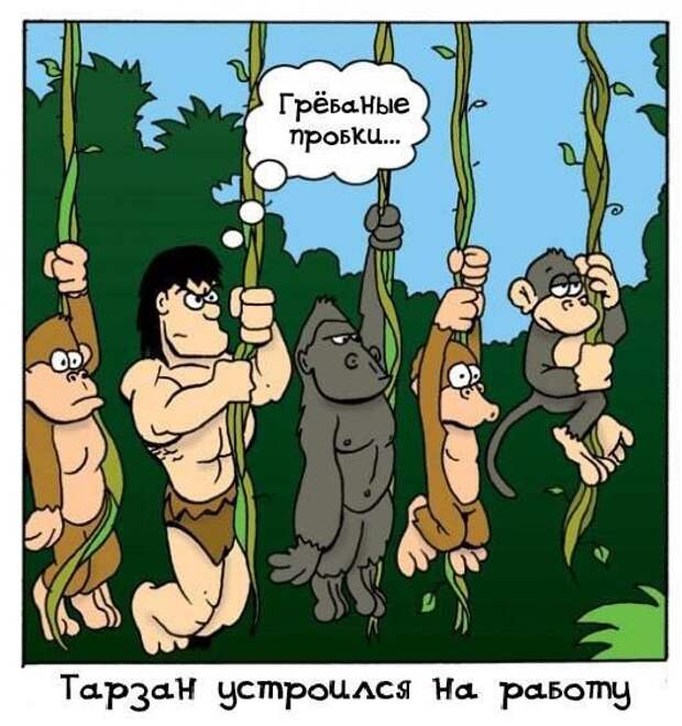Смешные карикатурки