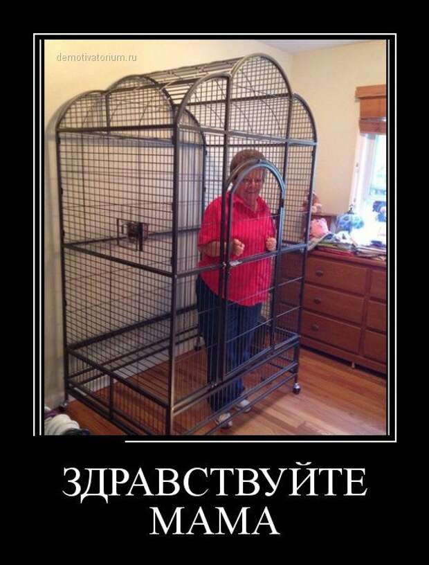 Демотиваторы бревно, демотиваторы, юмор