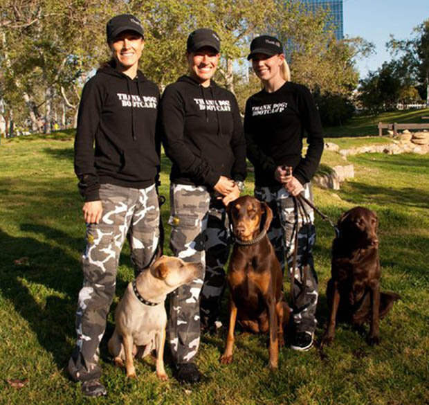 TRAIN: Doggy bootcamp is great for pet owners and pooches alike 