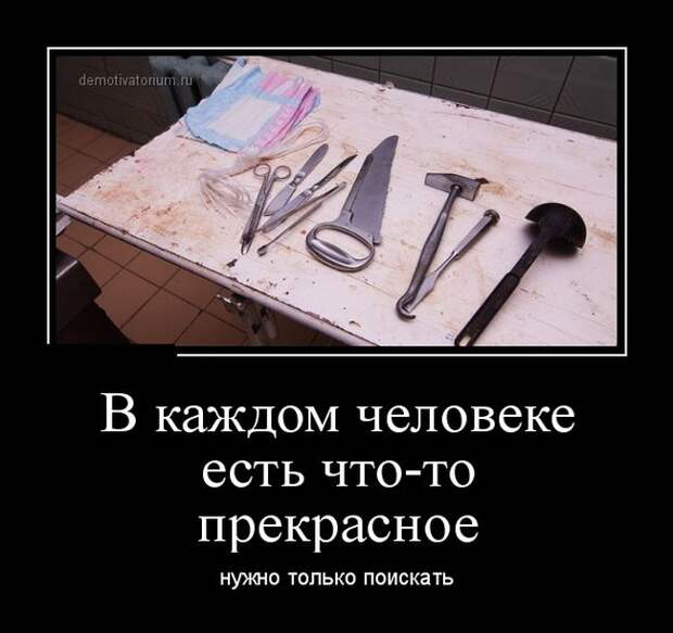 Демотиваторы бревно, демотиваторы, юмор