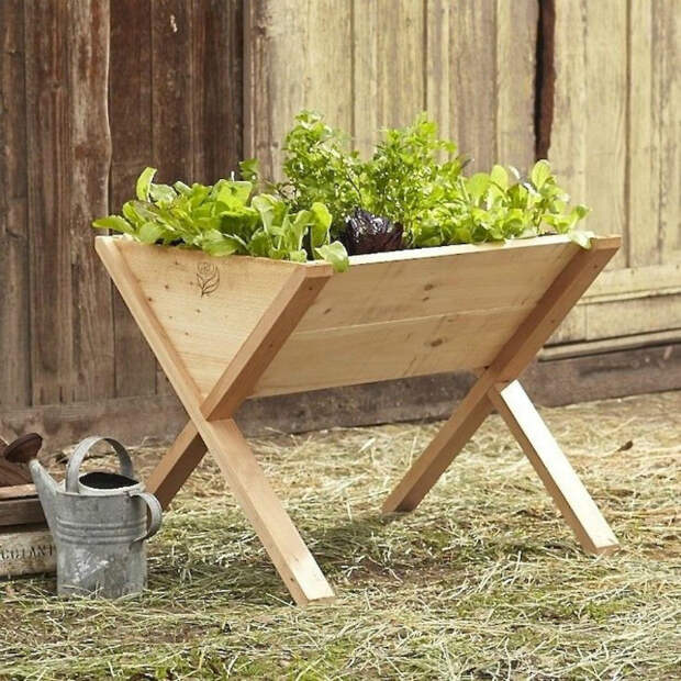 Небольшой деревянный контейнер для выращивания. | Фото: Pinterest.
