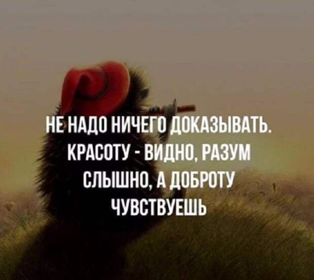 Подборка смешных картинок с надписями со смыслом (12 фото) Подборка смешных картинок с надписями со смыслом (12 фото)
