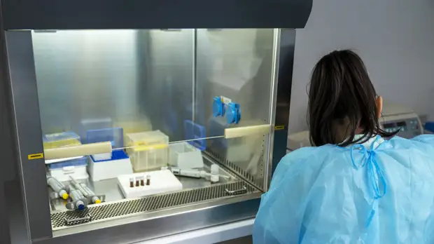 Представитель ВОЗ Клюге: более половины Европы заразится «омикроном» в ближайшие недели