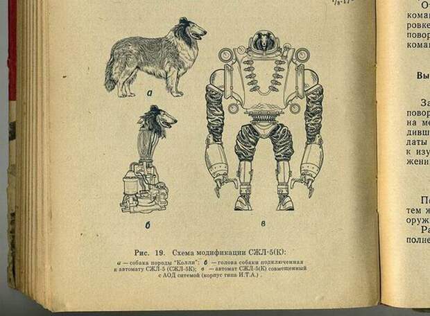 Совершенно Секретно - Советский биоробот (8 фото)