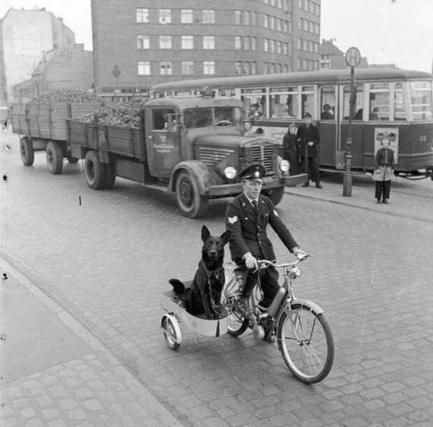 История в фотографиях интересное, история, фото