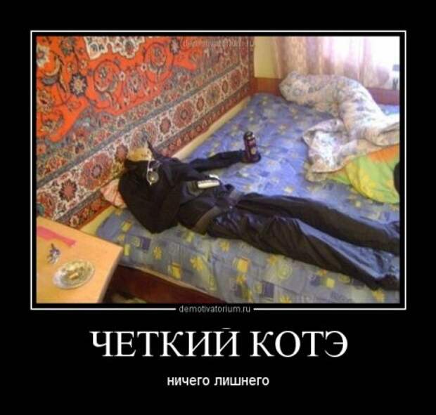 Новые демотиваторы, смешные фразы в картинках.