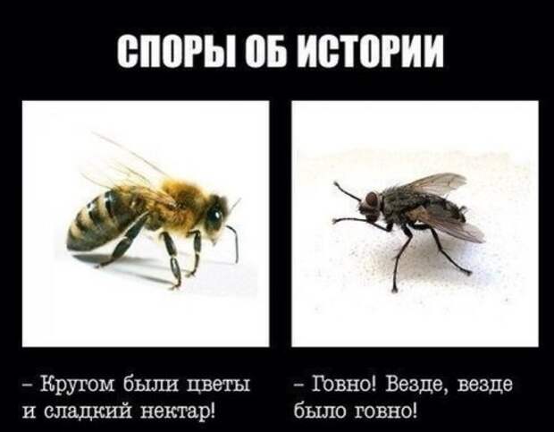 Коллекция фотомемов (17 шт)