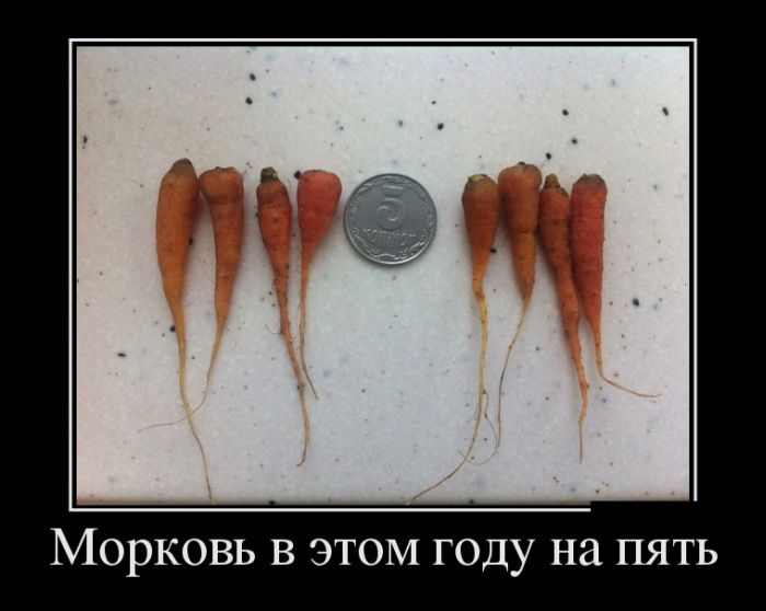 Демотиваторы дня от 31-08-2014