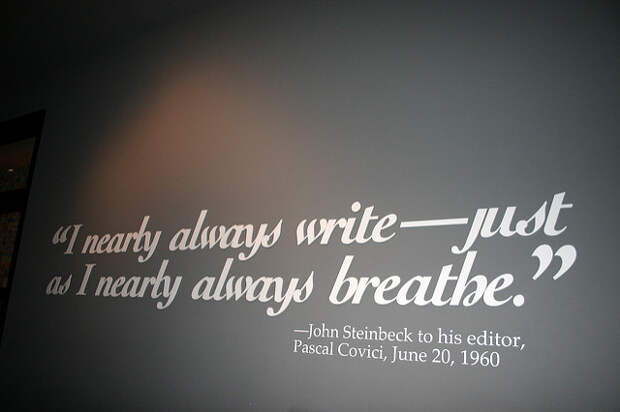 writing equals breathing career as a writer