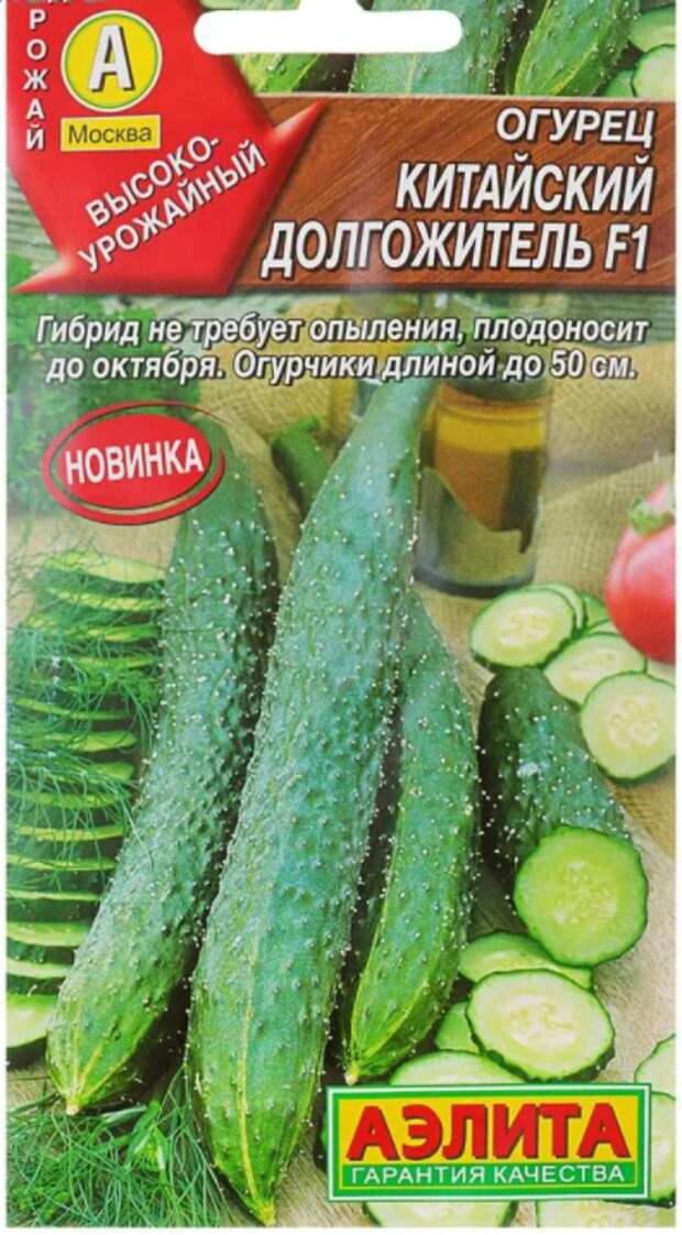 По улицам ходили большие крокодилы,а наши аллигаторы гибриды-огурцы .