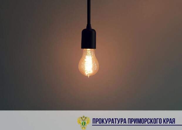 Прокуратура во Владивостоке проверит обслуживание электрических сетей