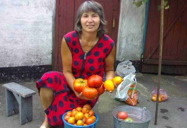 Людмила Храпач с плодами высокорослых томатов