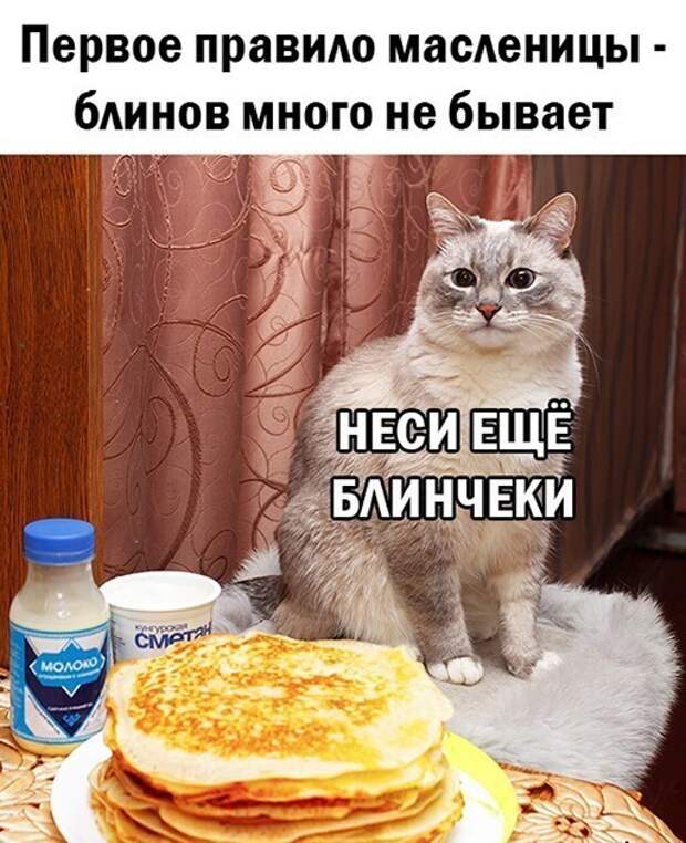 Смешные и познавательные картинки