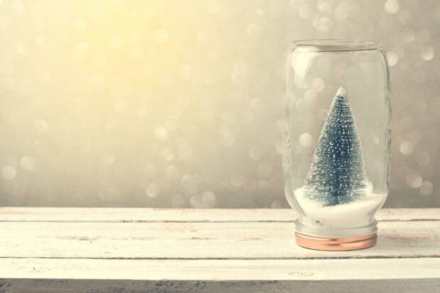 Christmas background with tree in jar and bokeh