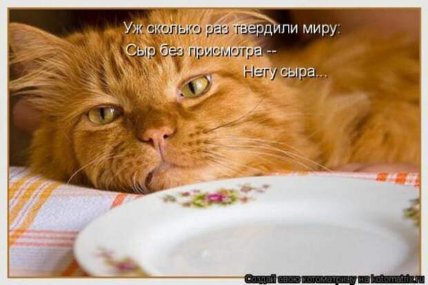 Котоматрицы(картинки с надписями)