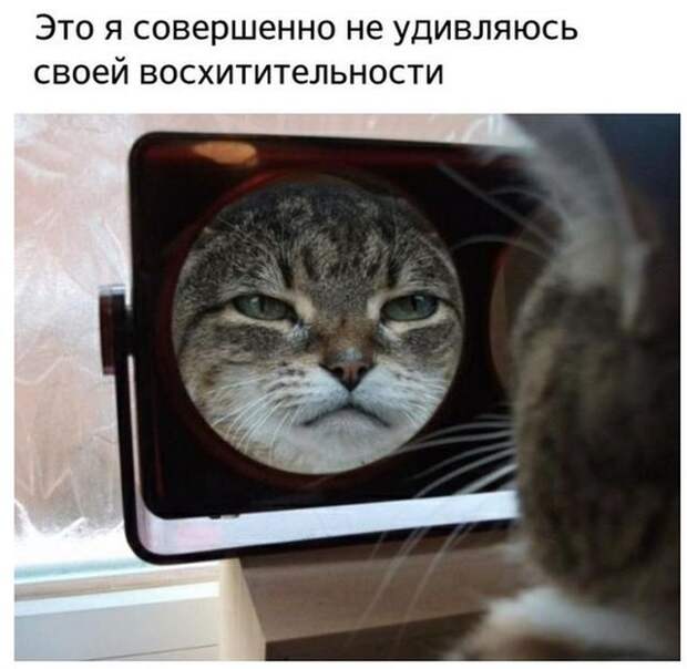 Подборка картинок и фотографий с надписями из жизни (11 фото)