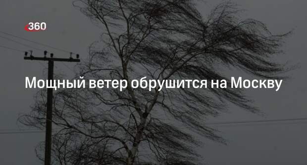 МЧС предупредило москвичей о сильном ветре до 18 метров в секунду