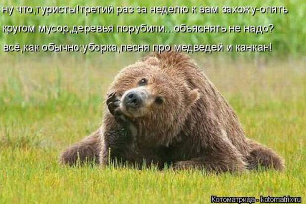 Котоматрицы (картинки с надписями)