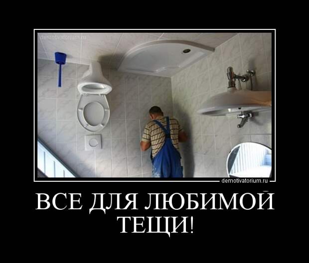 туалет для тещи