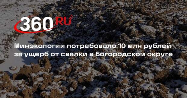 Минэкологии потребовало 10 млн рублей за ущерб от свалки в Богородском округе