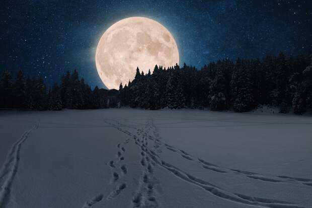 Снежная Луна в феврале 2026 года: дата, время, особенности полнолуния
