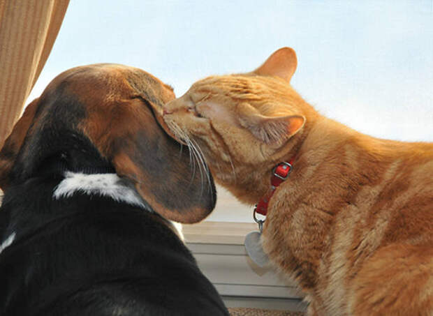 Giving Molly a kiss