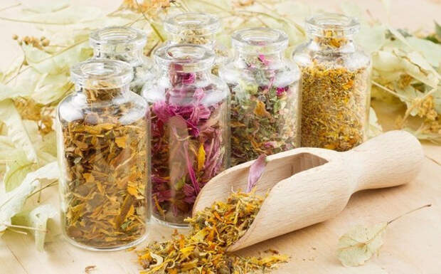 Картинки по запросу аллергия на коже