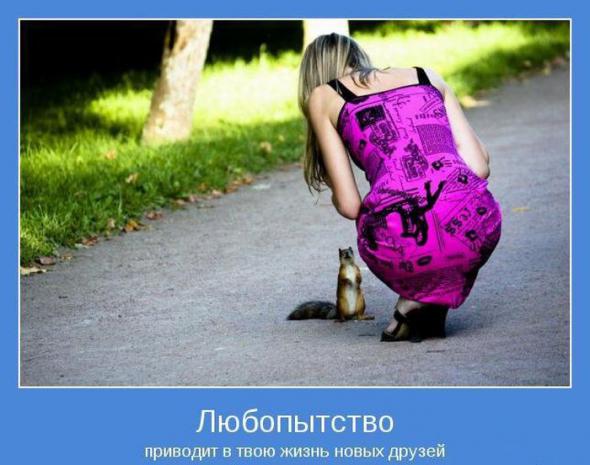 А теперь мотиваторы