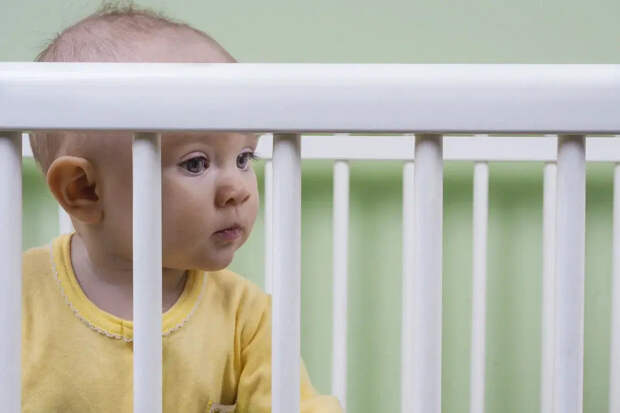 Михаил Боярский стал дедушкой в седьмой раз: пол ребёнка известен, имя нет