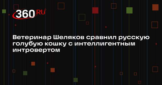 Ветеринар Шеляков сравнил русскую голубую кошку с интеллигентным интровертом