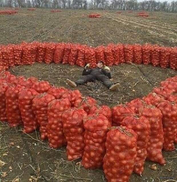 Нежных чувств пост (20 фото)