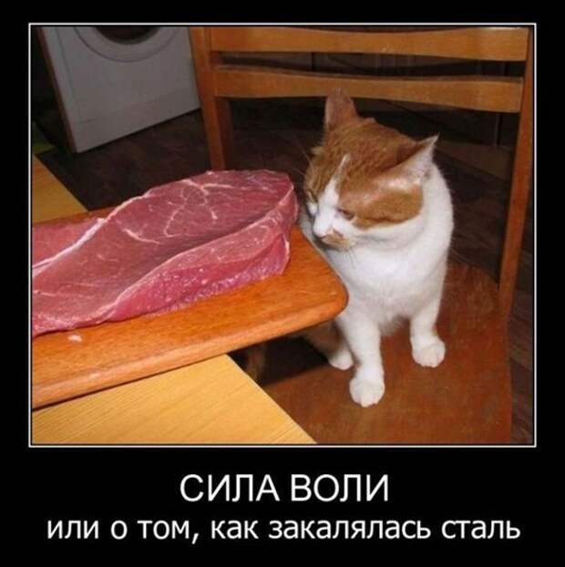 clip_image005