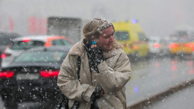 Метели и гололедица в Центральной России: арктический фронт накроет Москву и соседние области