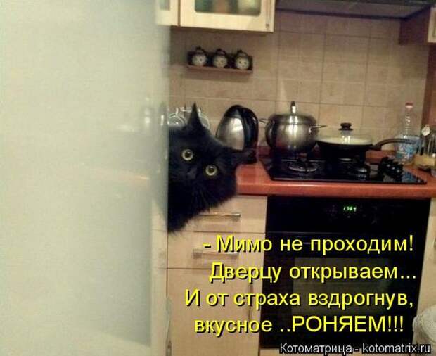 Лучшие котоматрицы недели (50 фото) Лучшие котоматрицы недели (50 фото)