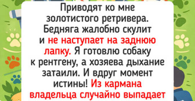 15+ забавных случаев из ветклиник, где каждый прием оборачивается настоящей комедией — 27.03.2026