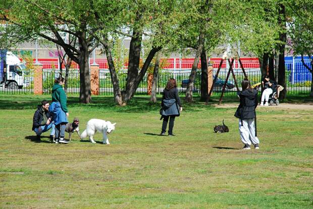 Нижегородцам предложили оценить концепцию благоустройства парка 1 мая