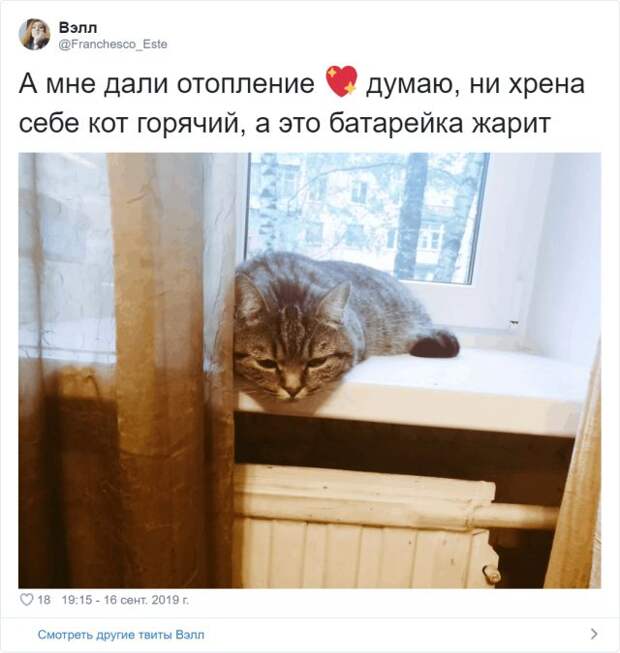 www.vsyako.net
